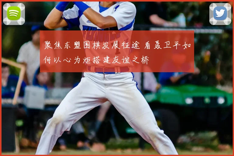 聚焦东盟围棋发展征途 看聂卫平如何以心为炬搭建友谊之桥