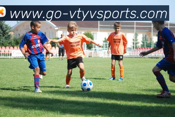 V体育Official Go发展历程